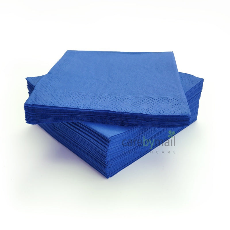 Disposable Paper Napkins - 33cm x 33cm - 2 Ply - Pack of 100