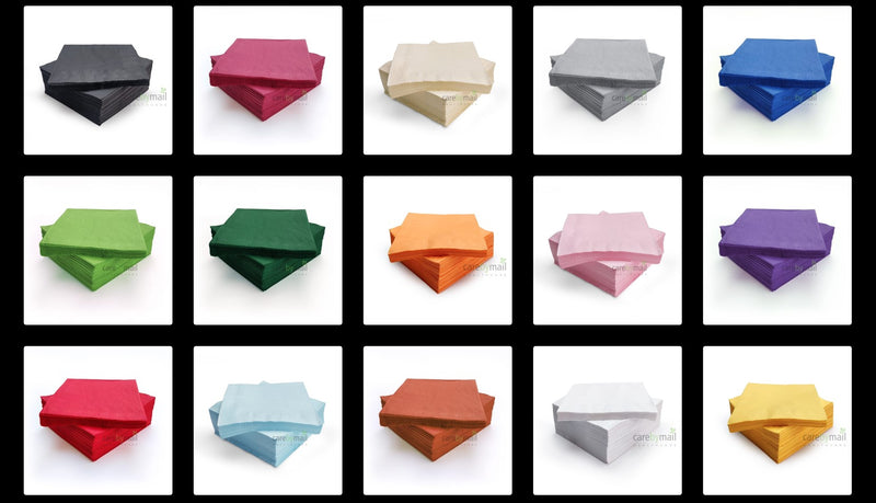 Disposable Paper Napkins - 33cm x 33cm - 2 Ply - Pack of 100