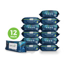 CarebyMail Wet Wipes for Adults - Large Cleansing Wet Wipes